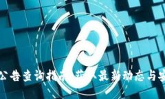 TP钱包公告查询指南：获取