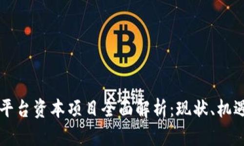 区块链平台资本项目全面解析：现状、机遇与挑战