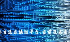 探索国际主流区块链平台：当前及未来的领导者